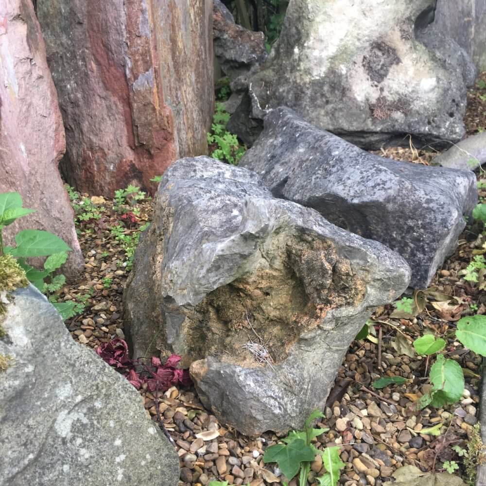 Scholar's Rocks - Japanese feature stones from Lake Taihu in China